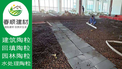 江西濾料廠家供應(yīng)水處理沉水生物陶粒 輕質(zhì)粘土陶?！?></a></div>
                    <div   id=