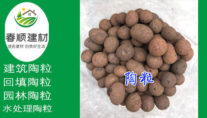 園藝花卉陶粒 園林綠化 無(wú)土栽培小石頭 透氣利水廠家批發(fā)直銷(xiāo)