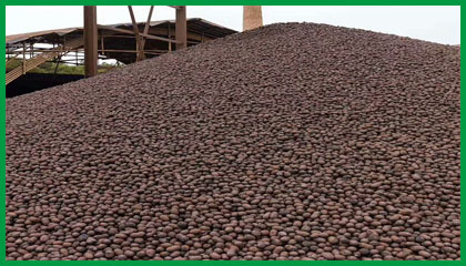 陶?；靥?建筑陶粒 供應(yīng)保溫1-3公分衛(wèi)生間陶粒，回填陶粒